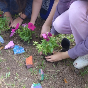 ACAMPADA MISIONERA