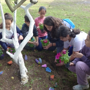 ACAMPADA MISIONERA