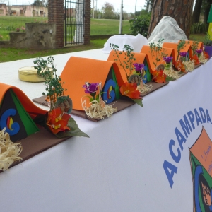 ACAMPADA MISIONERA